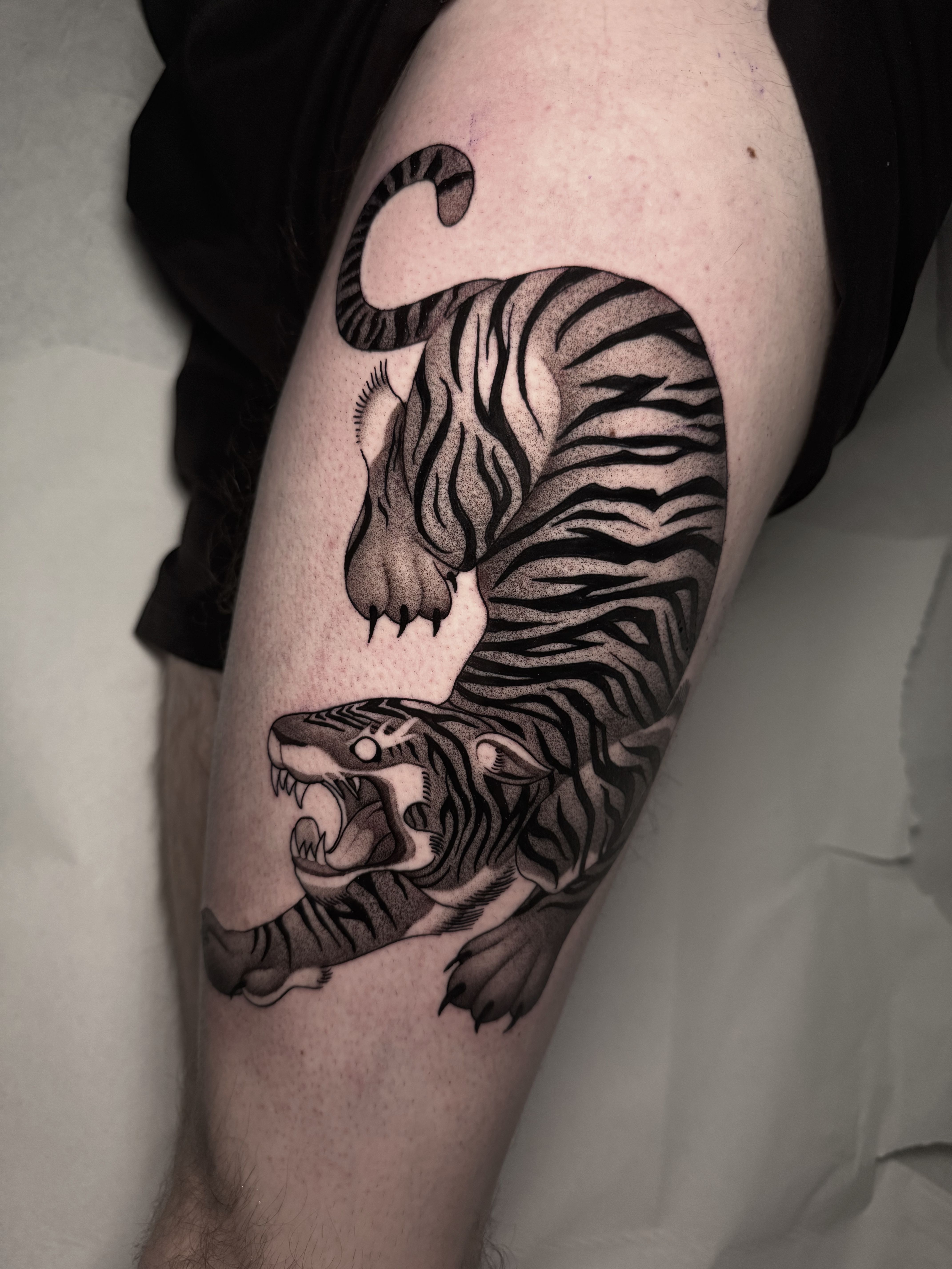 Tatuaje de tigre blackwork realizado en Madrid